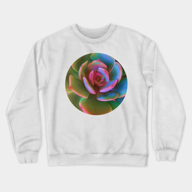 Pink Succulent Crewneck Sweatshirt by artbysavi